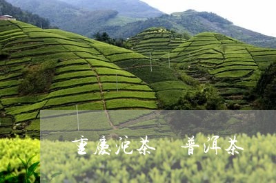 重庆沱茶 普洱茶/2023041006267